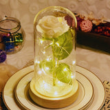 ERGOFINITY™ LED Rose in a Glass