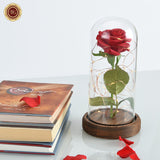 ERGOFINITY™ LED Rose in a Glass