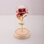 ERGOFINITY™ LED Rose in a Glass
