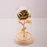 ERGOFINITY™ LED Rose in a Glass