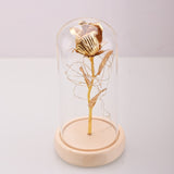 ERGOFINITY™ LED Rose in a Glass