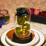 ERGOFINITY™ LED Rose in a Glass