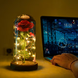 ERGOFINITY™ LED Rose in a Glass