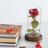 ERGOFINITY™ LED Rose in a Glass