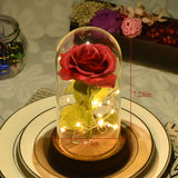 ERGOFINITY™ LED Rose in a Glass
